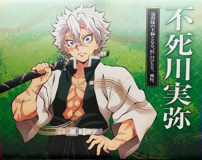 Character from "Demon Slayer: Kimetsu no Yaiba" – Shinazugawa