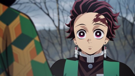 TV Anime "Demon Slayer: Hashira Training Arc" scene cut
