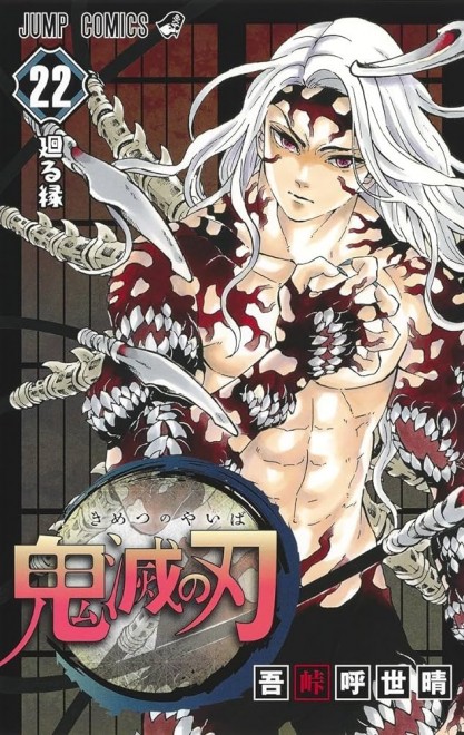Demon Slayer vol.22