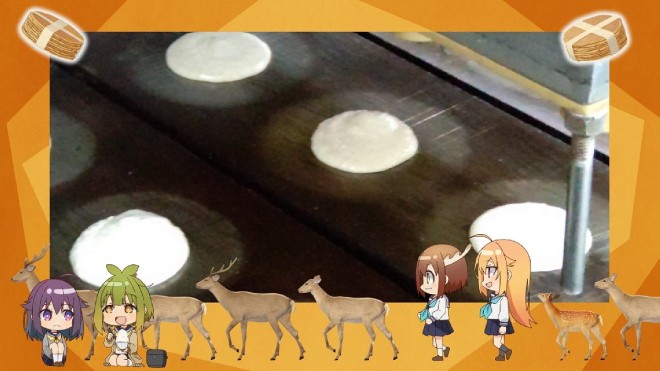 Scenes from the ED video of the anime 'My Deer Friend Nokotan'