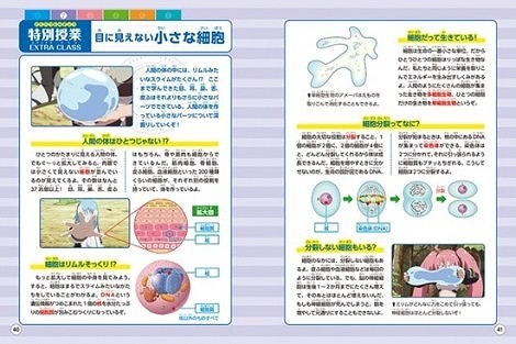 That Time I Got Reincarnated as a Slime Educational Manga
