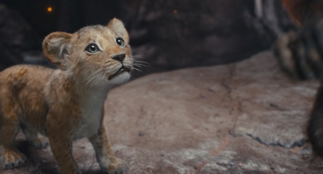 Kiara in Mufasa: The Lion King (In theaters December 20)