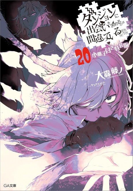 Is It Wrong to Try to Pick Up Girls in a Dungeon? 20 (Special Edition with Booklet)