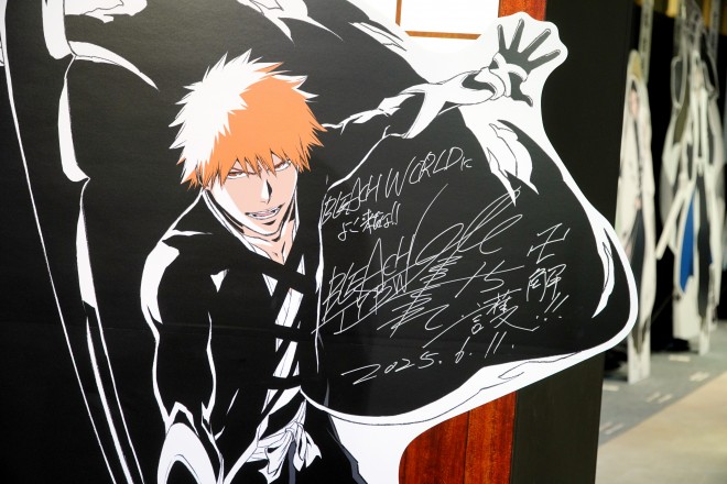 BLEACH WORLD