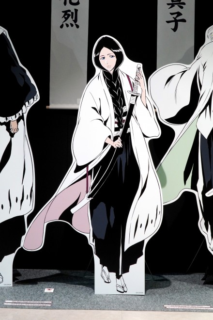 BLEACH WORLD