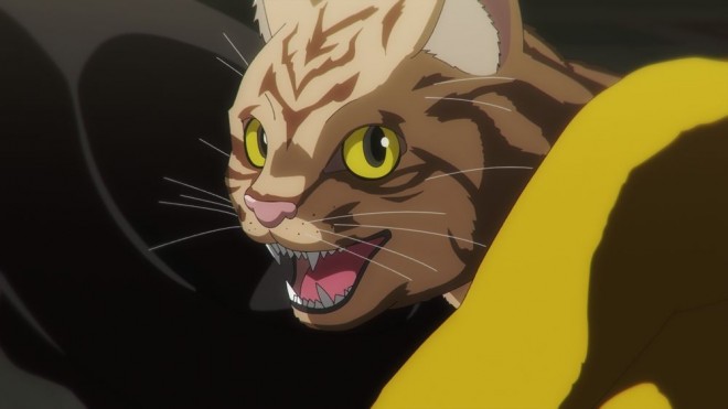 Night of the Living Cat
