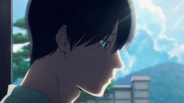 The Summer Hikaru Died