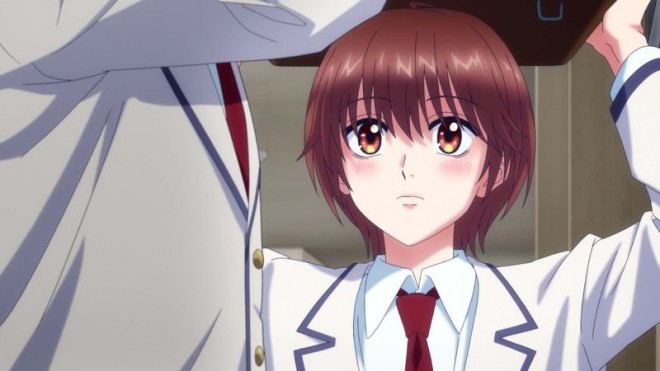 Anime Hana-Kimi