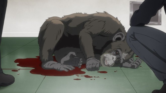 The Darwin Incident