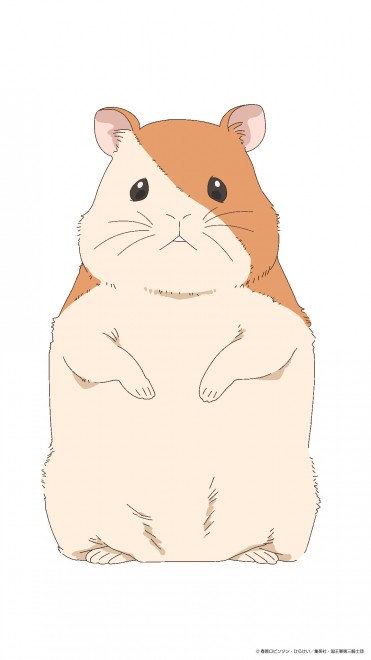 Ham chan