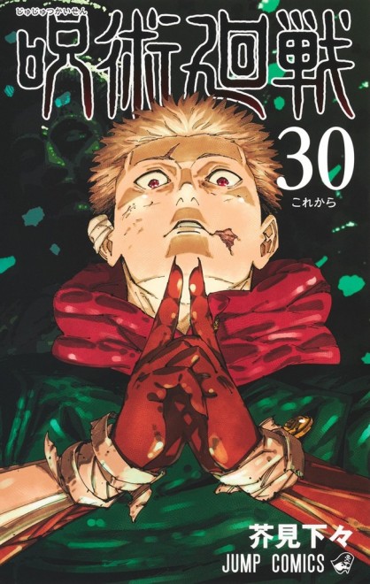 Jujutsu Kaisen Manga Vol.30 cover