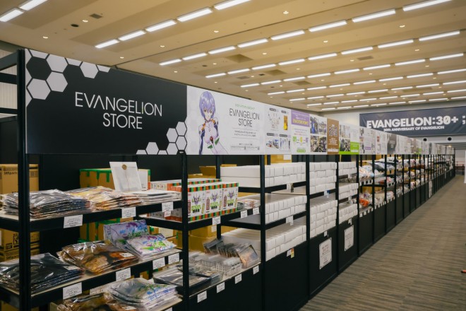 Scenes from EVANGELION 30+ 30th ANNIVERSARY OF EVANGELION