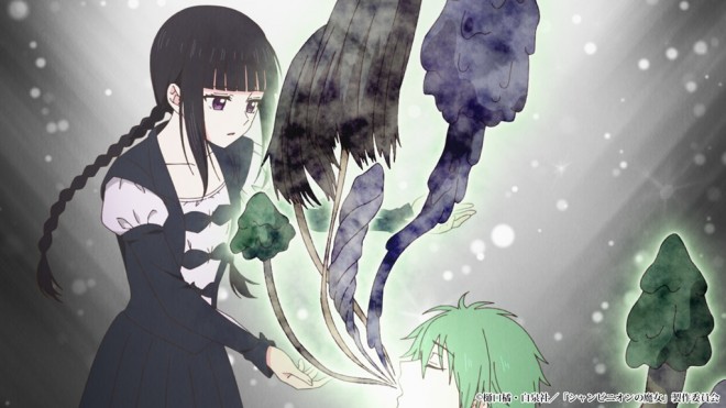 Champignon Witch