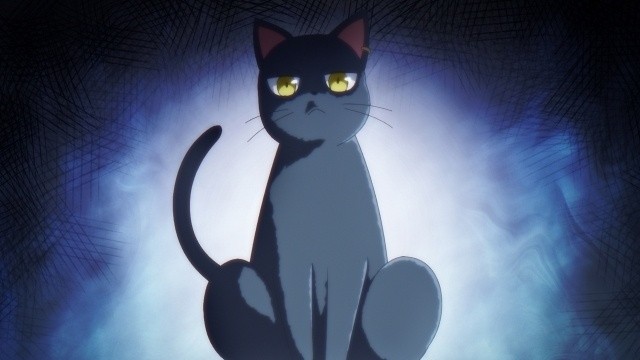 The Classroom of a Black Cat and a Witch