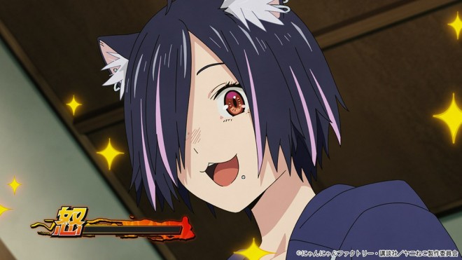 Chainsmoker Cat