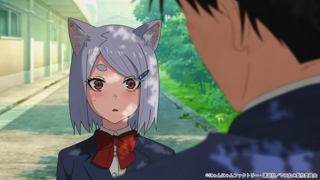 Chainsmoker Cat