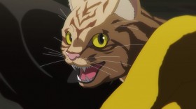 Night of the Living Cat Episode 1 Story & Preview Images Released: An Adorably Cat-Overrun World
